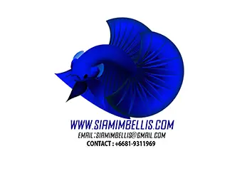 Sponsor-Siamimbellis