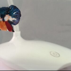 Nemo matallic