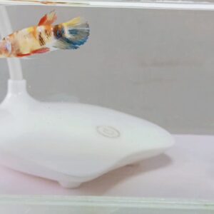 Nemo matallic